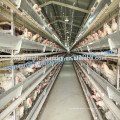 Best Selling and good price chicken layer cage manufacturer